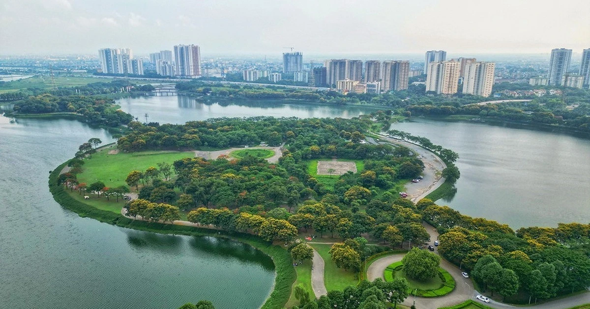 Hà Nội định hình bản sắc đô thị từ cây xanh bóng mát và ký ức mùa hoa
