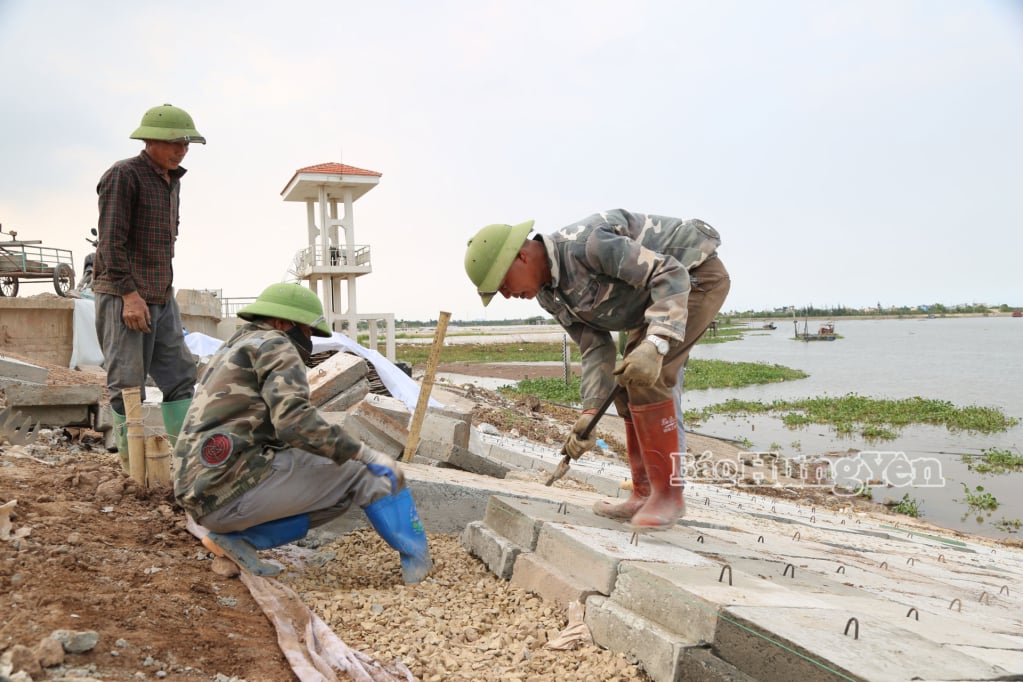 Công nhân thi công công trình xử lý cấp bách đoạn đê biển số 5, xã Nam Cường. Ảnh: Trịnh Cường