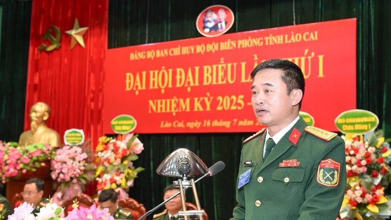 hai-1432-9071.jpg