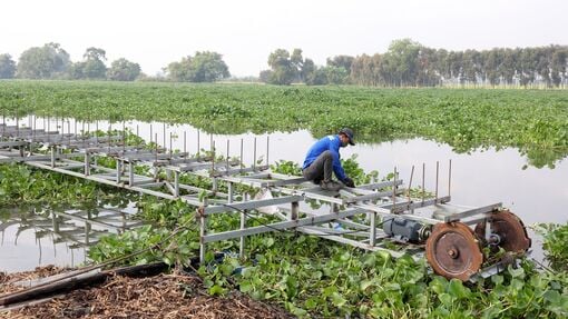 Need to equip more water hyacinth treatment facilities on Dong Nai River