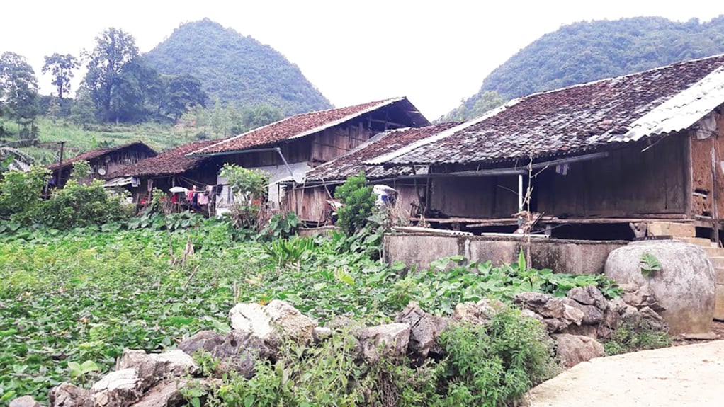 Một góc bản - không gian ở của người Nùng Vẻn xóm Cà Tiểng, xã Tổng Cọt, điểm đến của du lịch tri thức bản địa tại Cao Bằng.