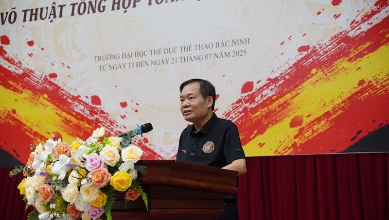 Khẳng định vị thế MMA trong hệ thống thể thao thành tích cao  - ảnh 2