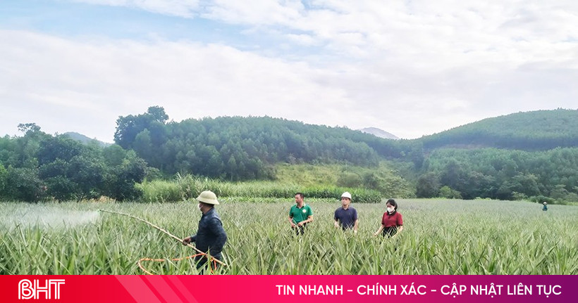 Seeds of private economy in rural Ha Tinh