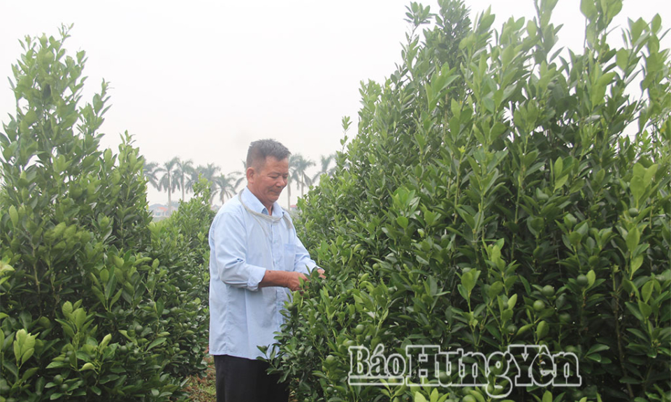 Xây dựng phường Trà Lý trở thành trung tâm văn hóa, vui chơi, giải trí và phát triển du lịch