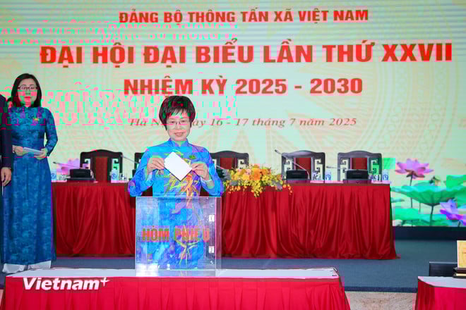 vnp-dhoi-chieu-5.jpg