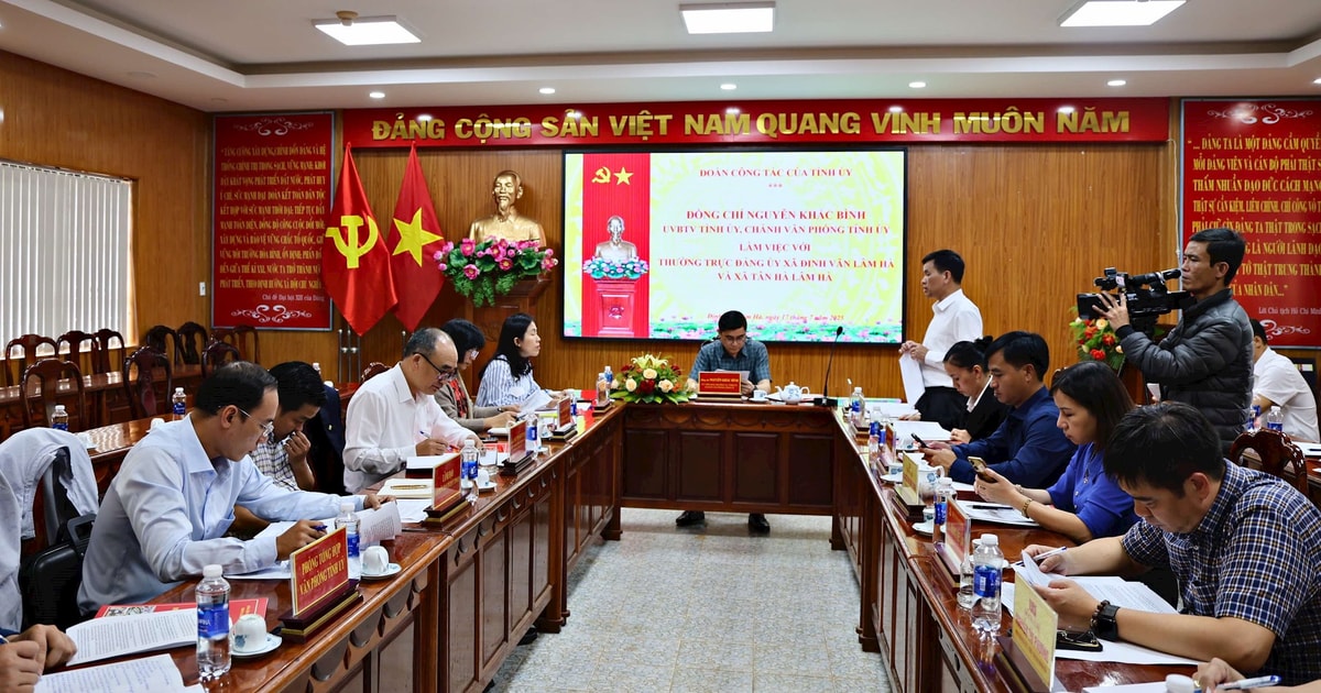 សមមិត្ត Nguyen Khac Binh បានត្រួតពិនិត្យប្រតិបត្តិការរបស់រដ្ឋាភិបាលមូលដ្ឋានពីរកម្រិតនៅ Lam Ha។