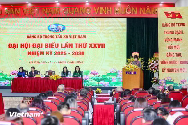 vnp-8.jpg