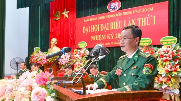 hai-1387-1702.jpg