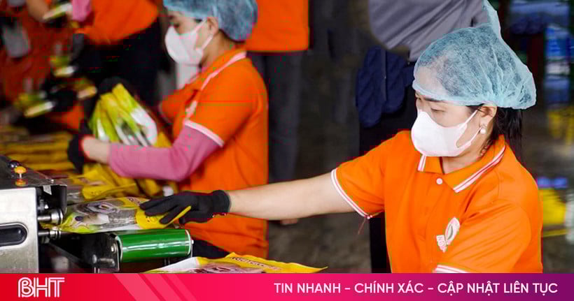 Vì sao sản phẩm OCOP Hà Tĩnh vẫn khó vào hệ thống bán lẻ hiện đại?
