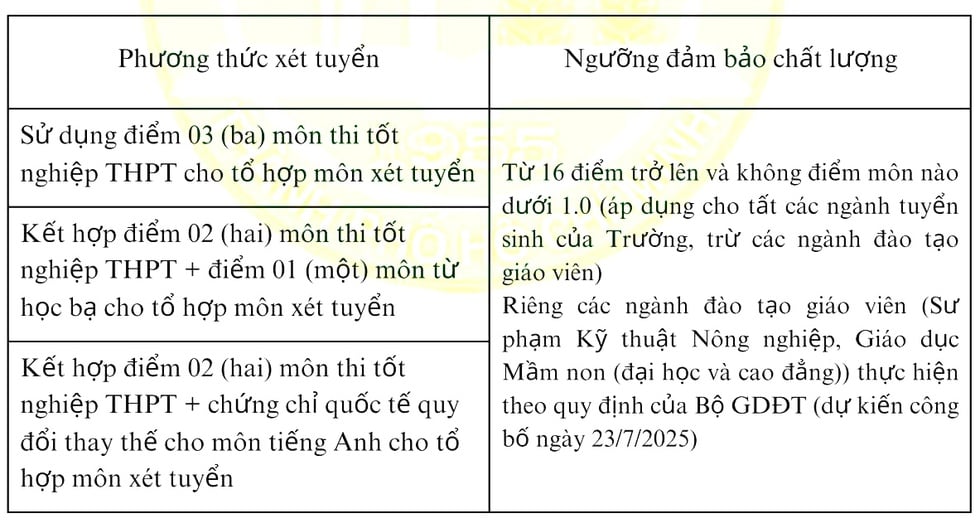  - Ảnh 2.