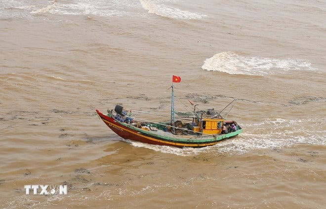 រូបថតគំនូរ។ (រូបថត៖ VNA)