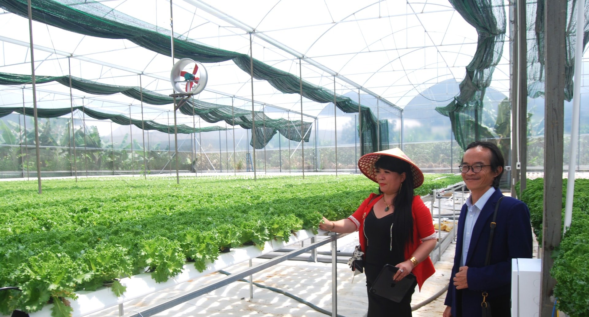 Từ nay đến cuối năm 2025, toàn tỉnh mở rộng diện tích sản xuất nông nghiệp công nghệ cao để nâng cao giá trị, năng lực cạnh tranh sản phẩm trên thị trường