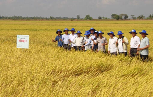 ការពង្រីកវិស័យកសិកម្មត្រួសត្រាយផ្លូវសម្រាប់ការផ្លាស់ប្តូរការគិតផលិតកម្ម