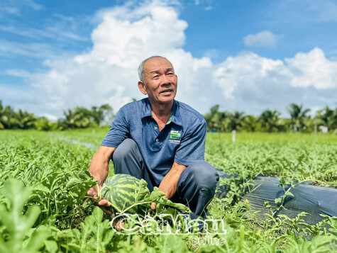 គំរូ​មួយ​លាន​ដុល្លារ​ក្នុង​បេះដូង​នៃ​នគរូបនីយកម្ម