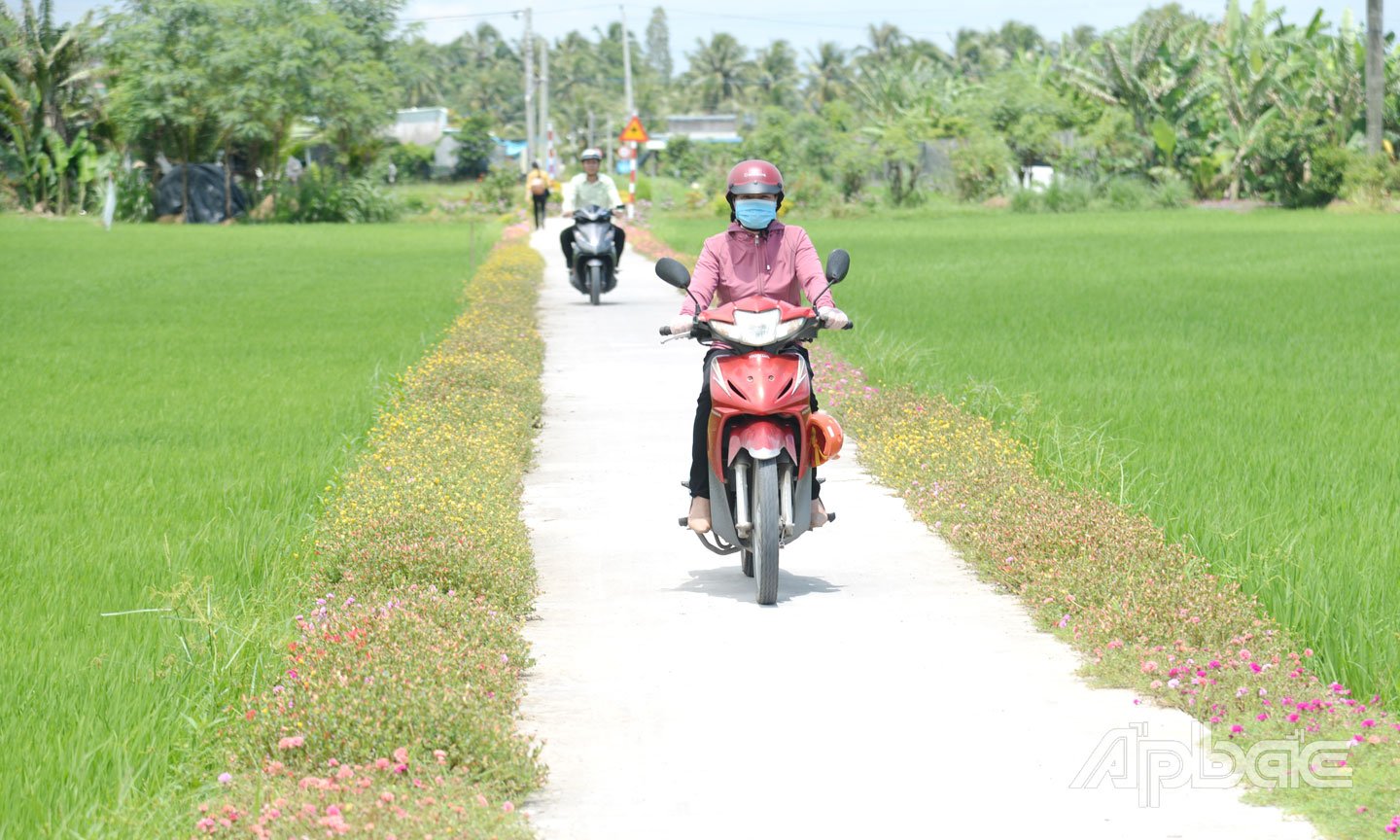 Tỉnh Đồng Tháp có hệ thống hạ tầng nông thôn hoàn chỉnh từ nền tảng xây dựng NTM của tỉnh Tiền Giang và Đồng Tháp trước đây.