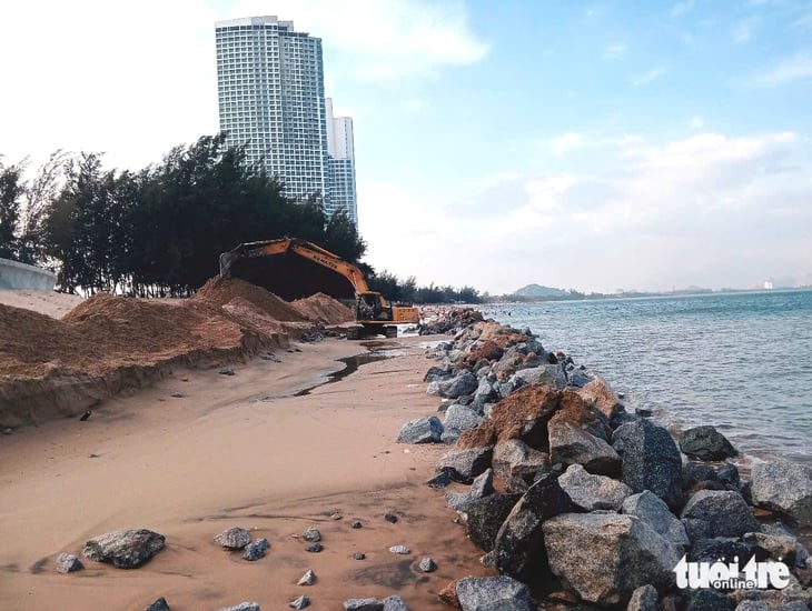 Ninh Chử - Ảnh 1.