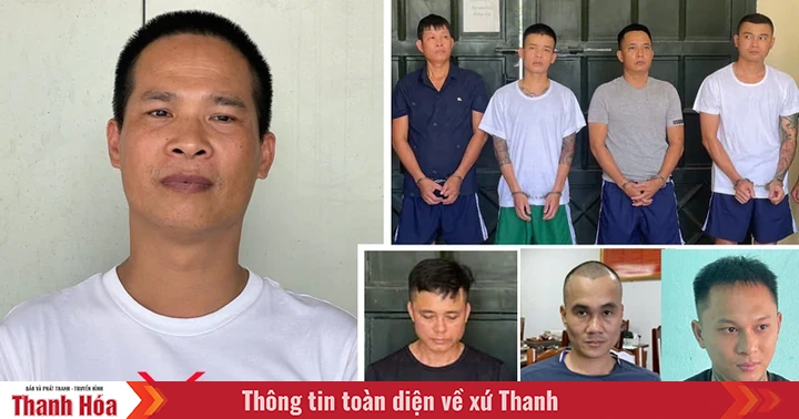 Criminal detention of 8 subjects in a criminal gang led by Bui Quoc Y