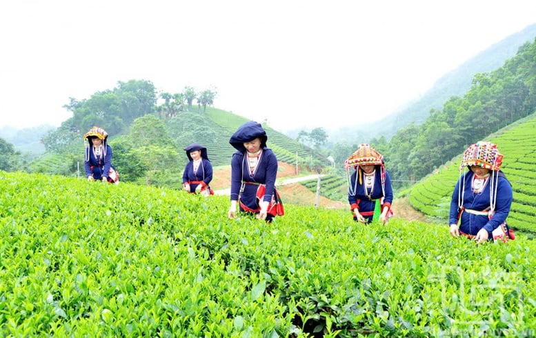 Kinh tế – xã hội vùng DTTS: Tăng tốc với lộ trình rõ ràng- Ảnh 2.
