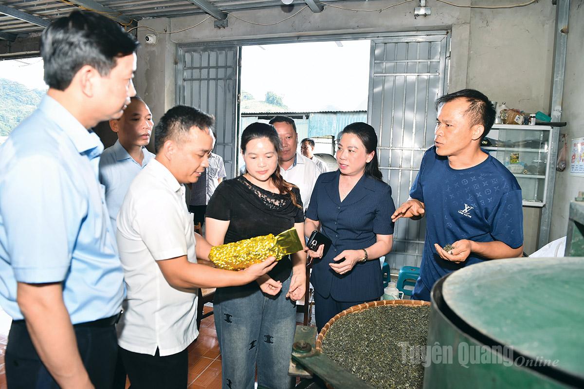 Đồng chí Lê Thị Kim Dung, Phó Bí thư Thường trực Tỉnh ủy thăm mô hình chế biến chè tại thôn Suối Vui, xã Tùng Vài.