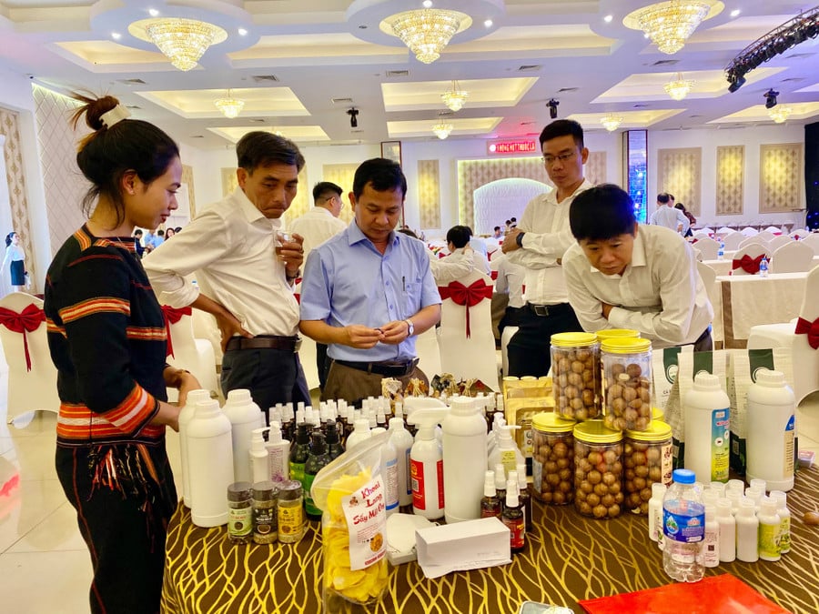 2tcac-san-pham-nong-nghiep-dia-phuong-tai-cac-xa-tay-gia-lai-nhan-duoc-su-yeu-thich-cua-nguoi-tieu-dung-anh-ha-duy.jpg