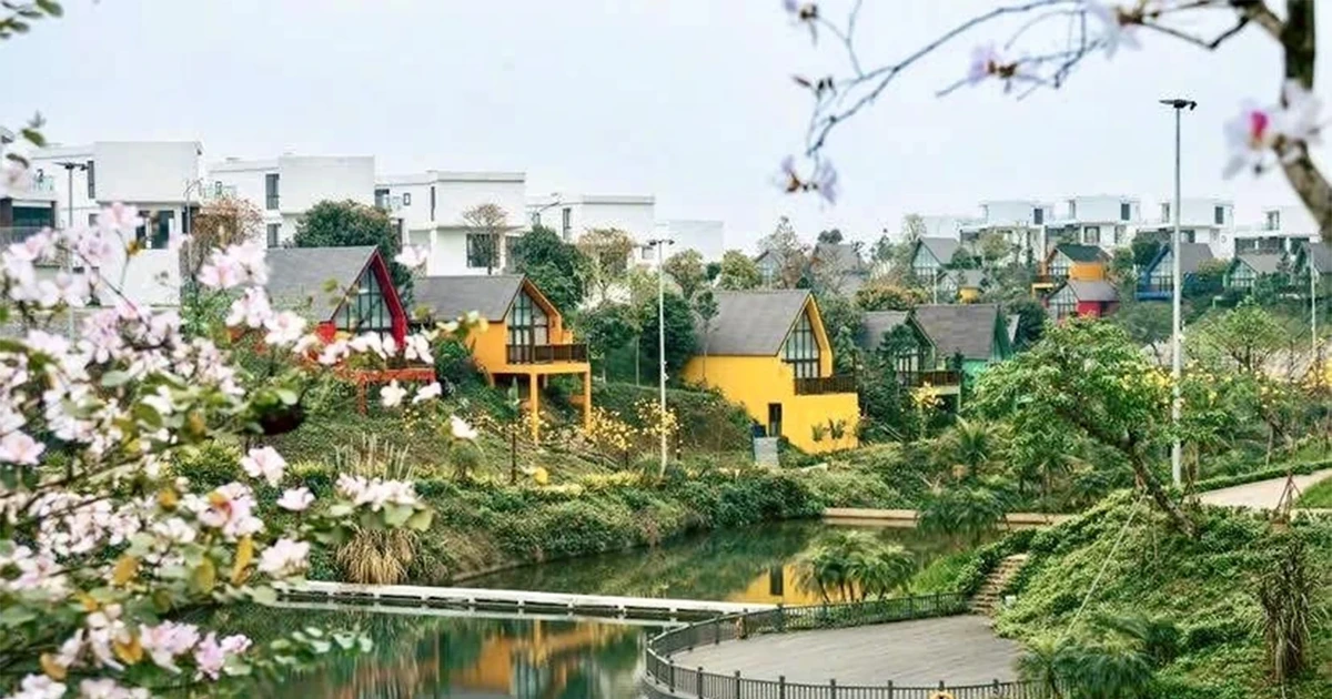 민간 경제 활력을 활성화하다