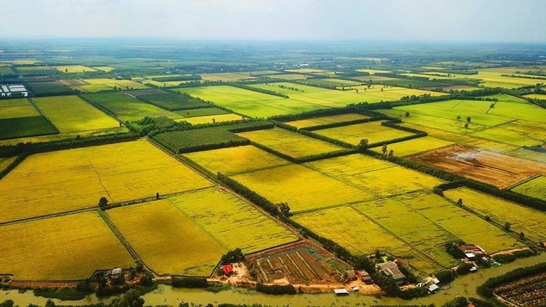 Đề xuất quy định hướng dẫn việc kéo dài thời hạn miễn thuế sử dụng đất nông nghiệp- Ảnh 1.