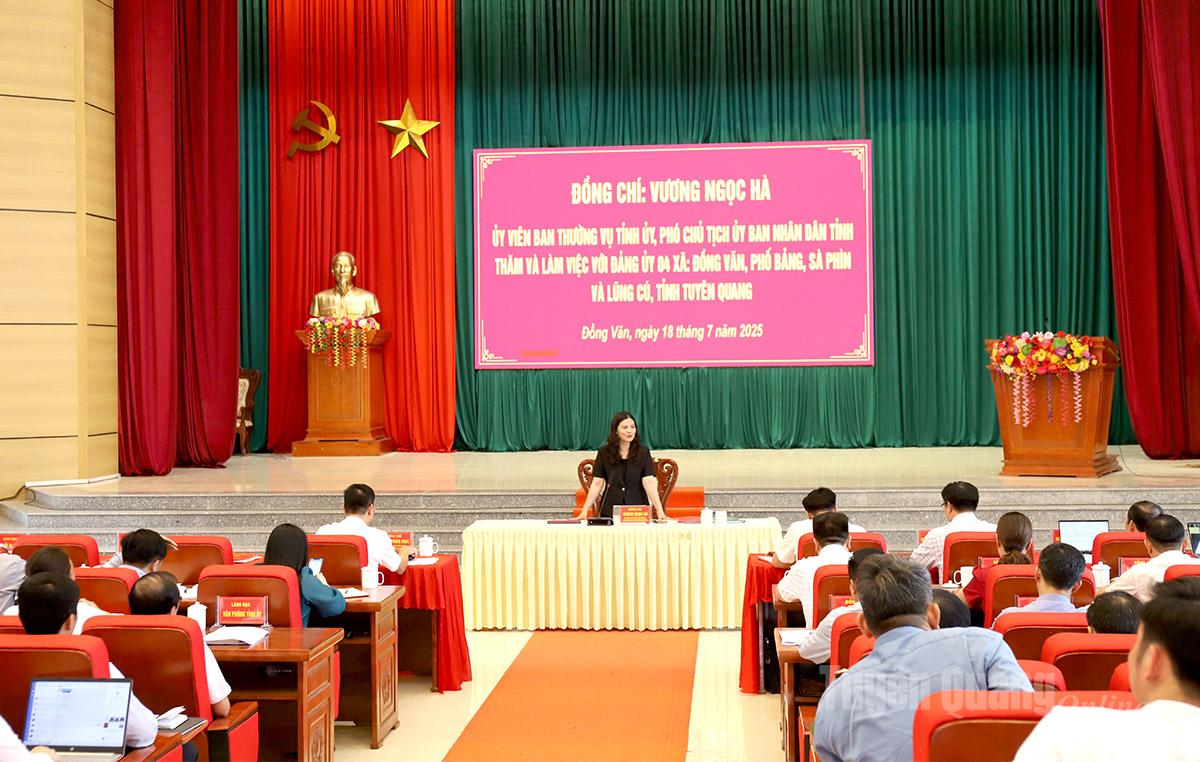 Đồng chí Vương Ngọc Hà, Ủy viên Ban Thường vụ Tỉnh ủy, Phó Chủ tịch UBND tỉnh phát biểu kết luận tại buổi làm việc. Ảnh: My Ly