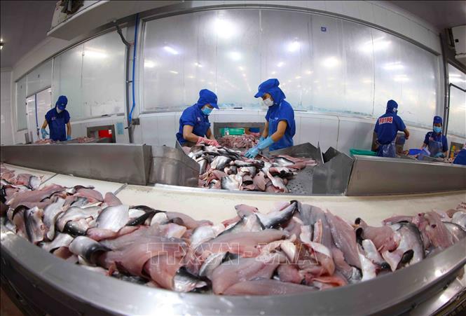 Cảnh báo sớm bảo vệ hàng xuất khẩu