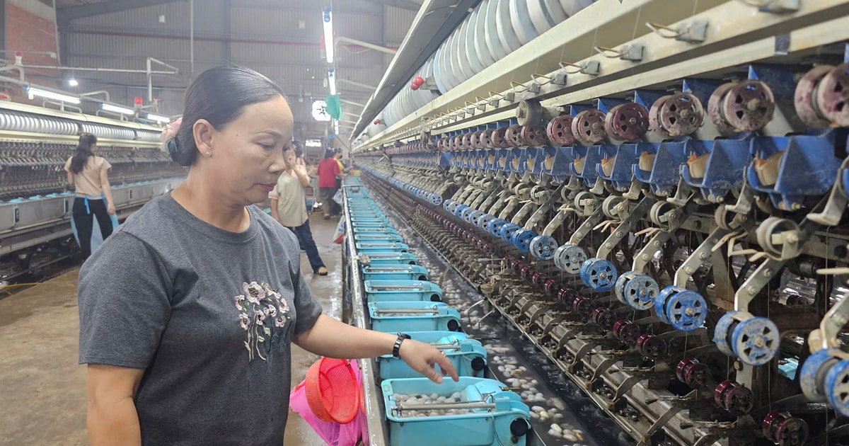 Sowing "silk seeds" on difficult land