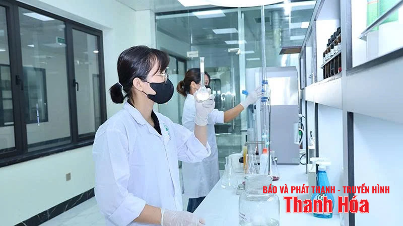 “รากฐานที่อ่อนนุ่ม” ของความสามารถในการแข่งขัน