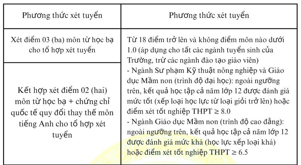  - Ảnh 3.
