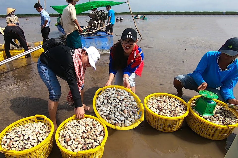 Du lịch Cà Mau: Trải nghiệm gác kèo ong rừng tràm U Minh, cào nghêu Đất Mũi