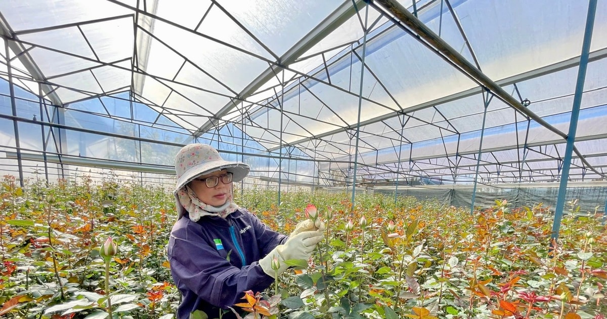 開発に活用する