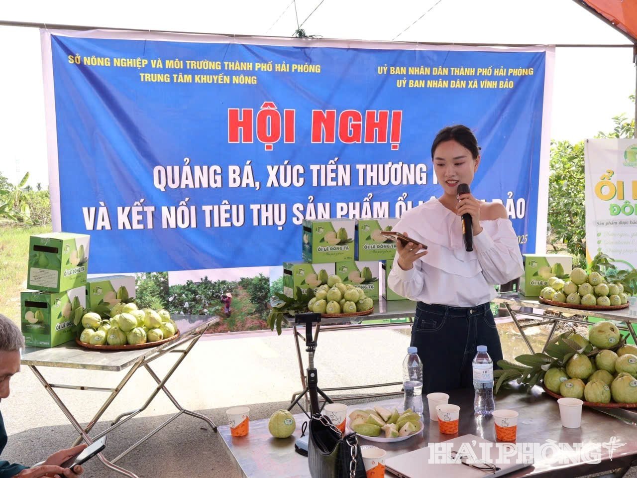 oi-vinh-bao.jpg
