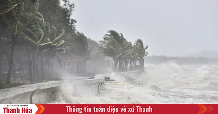 Áp thấp nhiệt đới mạnh lên thành bão, Thanh Hóa sẽ mưa lớn