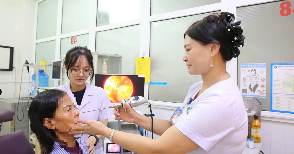 Ổ dòi trong hốc mũi nữ bệnh nhân 60 tuổi