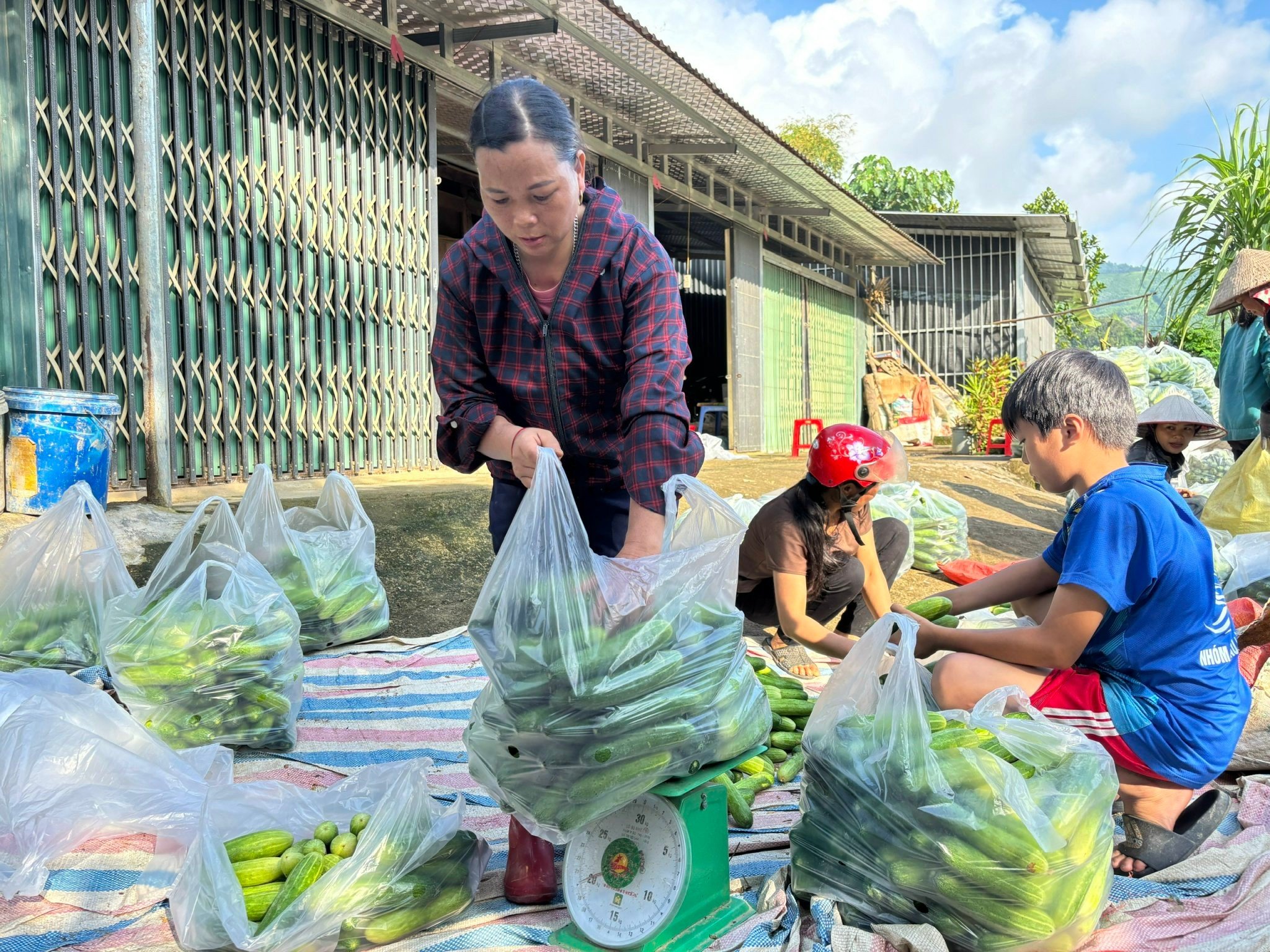 day-la-vu-thu-2-chi-ma-thi-dep-ban-muong-kem-xa-nghia-do-tham-gia-mo-hinh-trong-dua-lien-ket.jpg