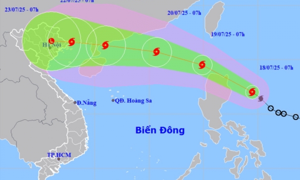 Chủ động ứng phó bão WIPHA
