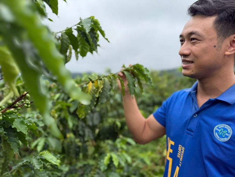 Cà phê Việt Nam hướng tới phân khúc cao cấp- Ảnh 1.