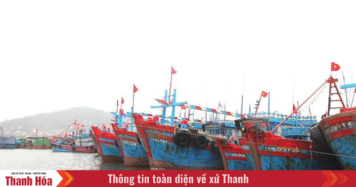 Effectiveness of policies to support fisheries development and ensure safety for fishermen