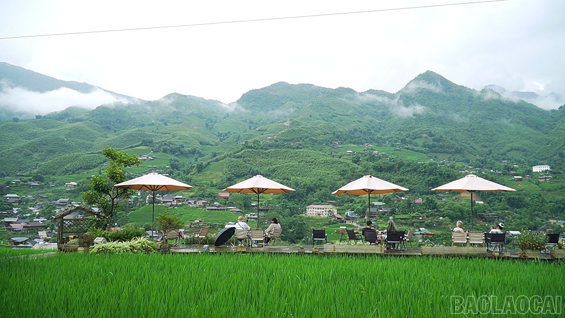 baolaocai-br_sequence-0101-45-02-15still118.jpg