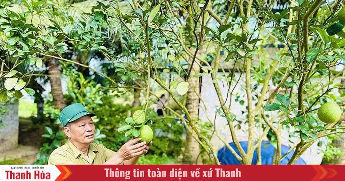 Tăng khả năng tiếp cận vốn cho người dân khu vực nông thôn