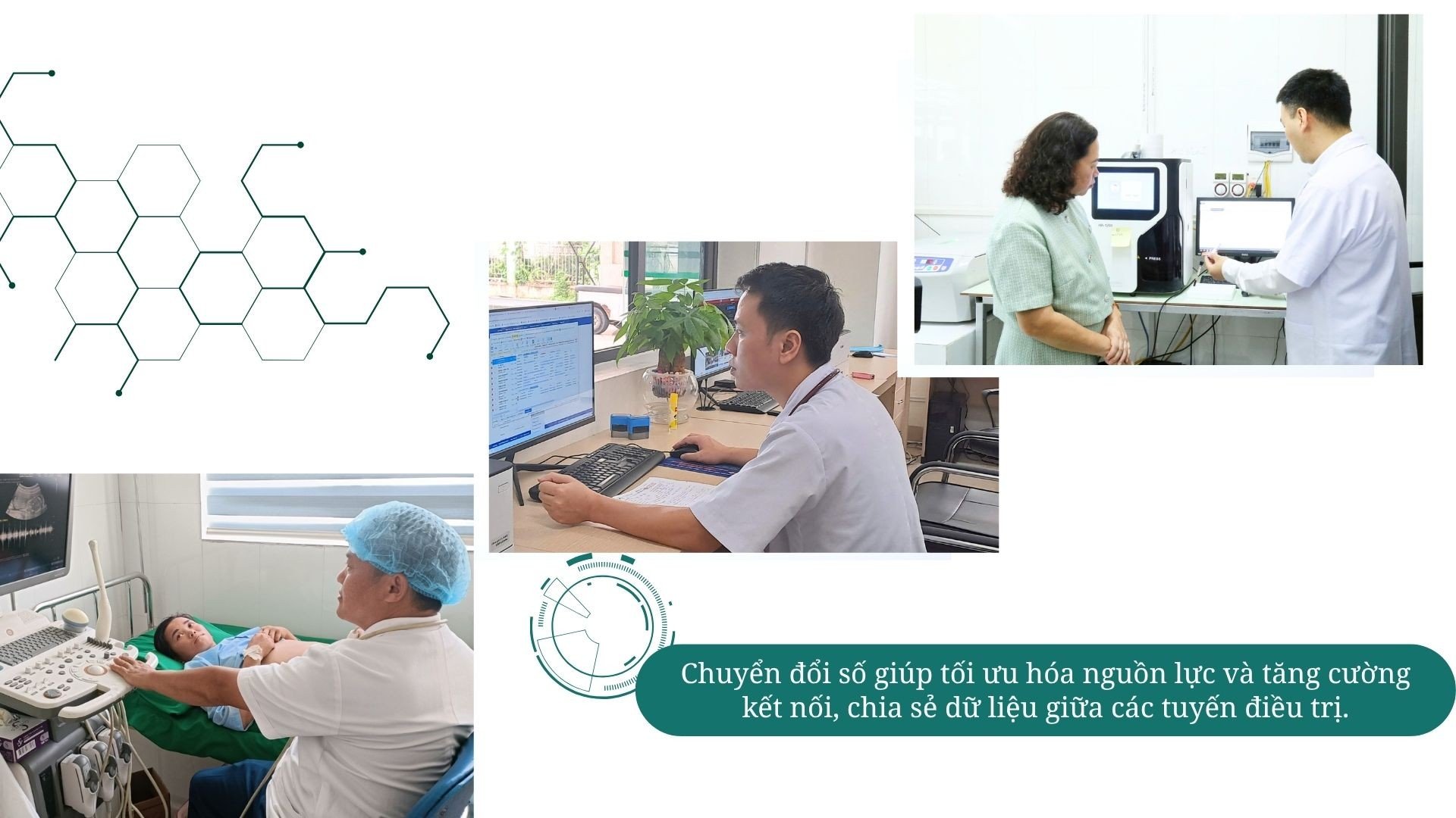 عرض تقديمي لابتكارات الزراعة المائية الحديثة الخضراء.jpg