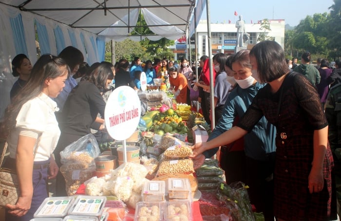 Phụ nữ Cao Bằng khởi nghiệp xây dựng nông thôn mới dựa trên tiềm năng, thế mạnh địa phương- Ảnh 1.