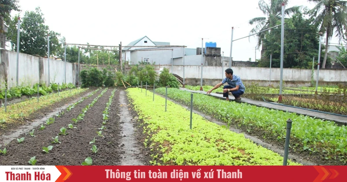 Nâng giá trị đất vườn theo tiêu chí nông thôn mới