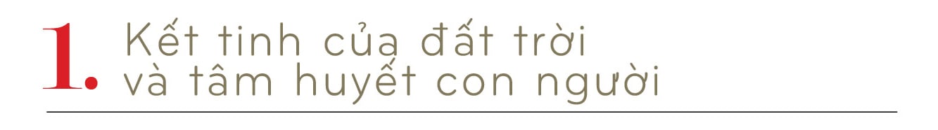 Longform | Chè Suối Giàng: Từ báu vật trên đỉnh núi đến biểu tượng văn hoá  - 1