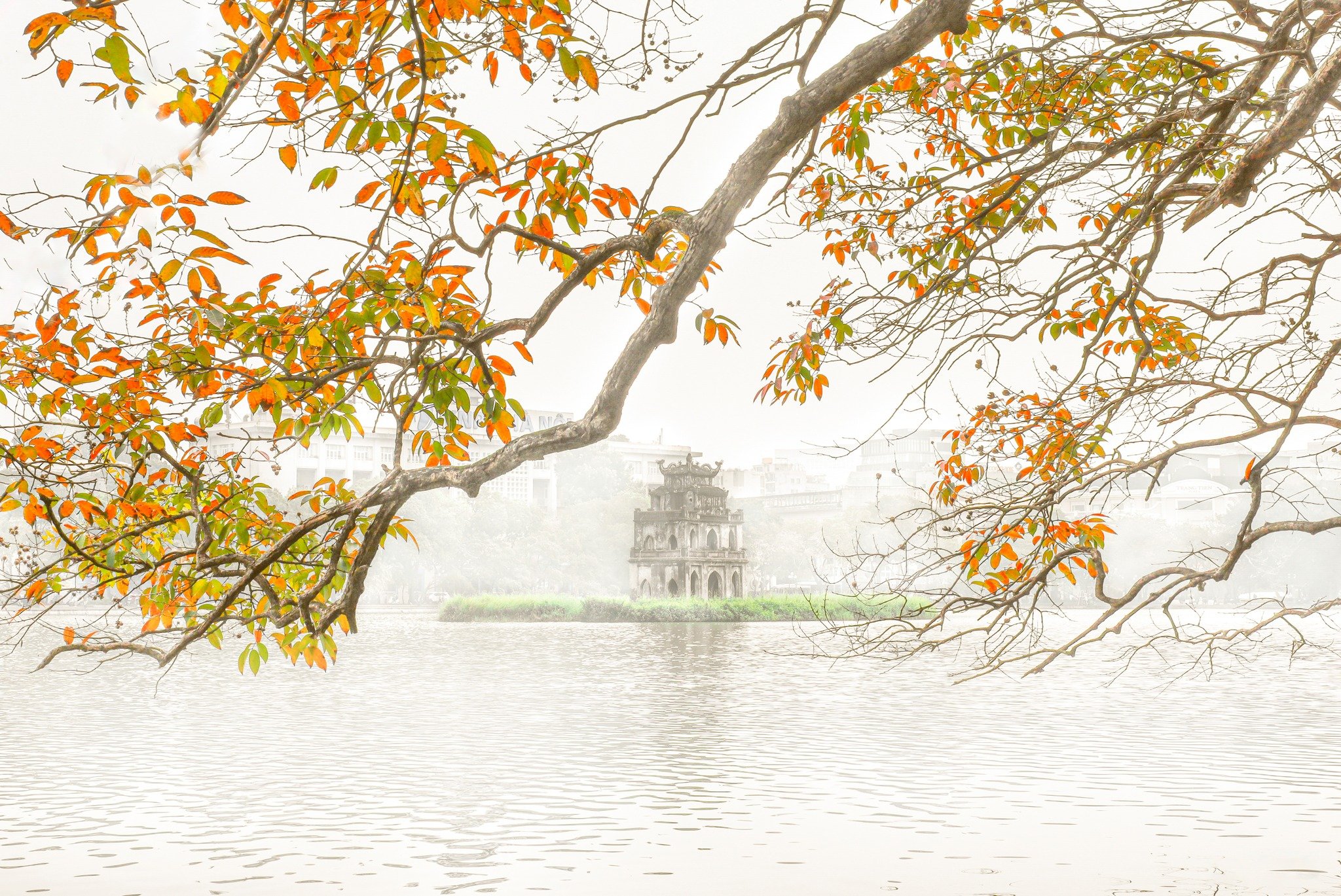 ហាណូយ​ជា​គោលដៅ​ស្វែងរក​ច្រើន​បំផុត​ដោយ​ប្រជាជន​វៀតណាម​កាលពី​ថ្ងៃ​ទី​២​កញ្ញា