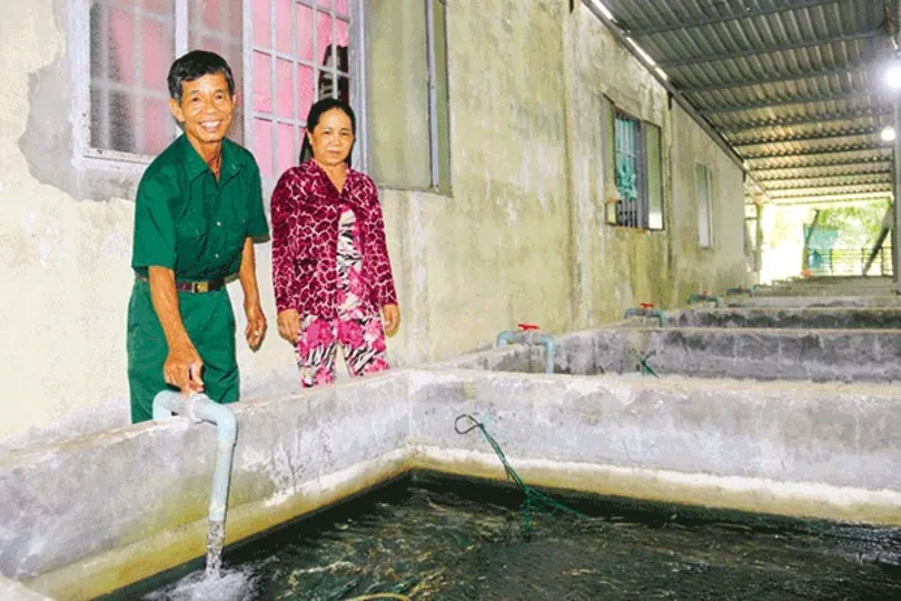 ទាហានរបស់ពូ ហូ មិនដែលឈប់បរិច្ចាគទេ។