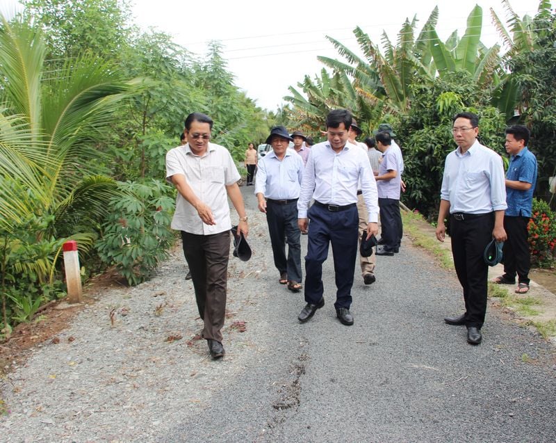 Đoàn công tác khảo sát và đánh giá mức độ nghiêm trọng của các điểm sạt lở đê bao ven sông Hậu, xã Phong Thạnh.