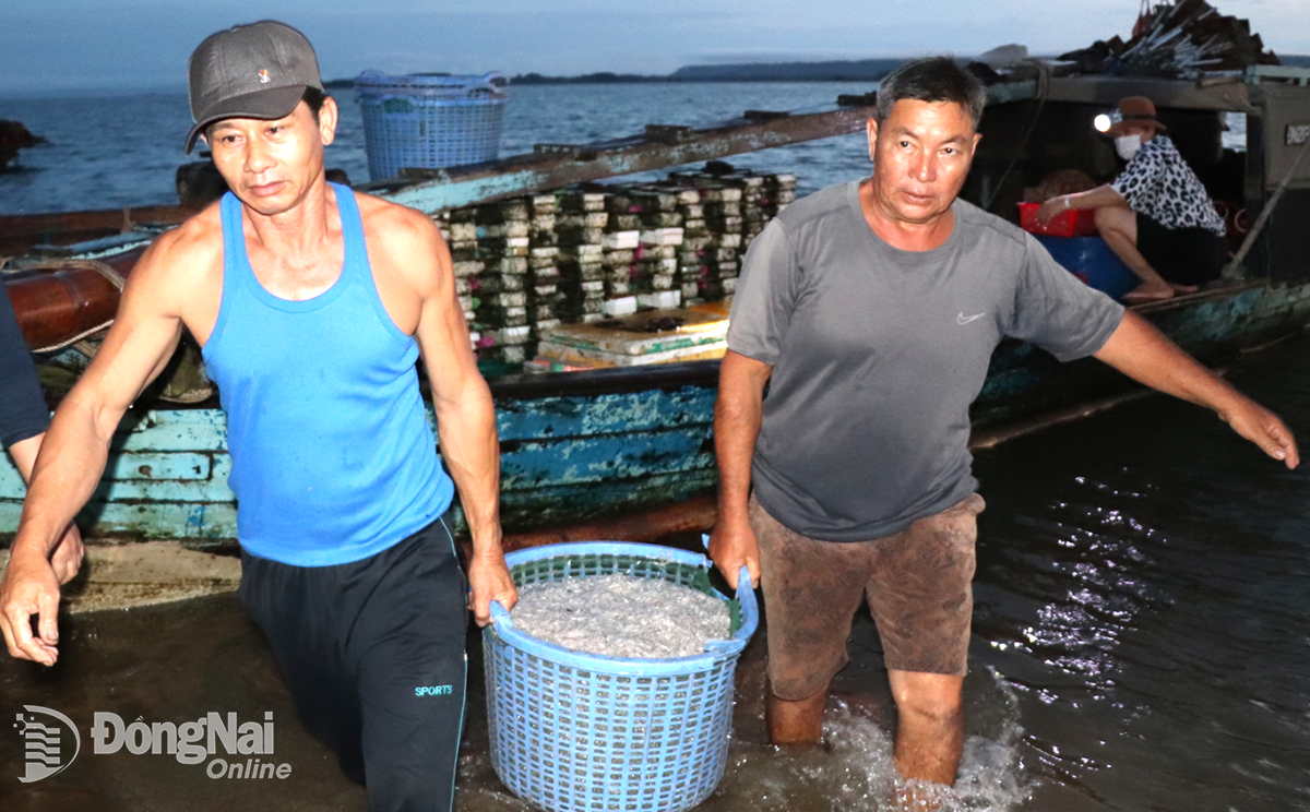 6. Aquatic products from Tri An Lake are directly purchased by warehouse owners or traders on the spot and then sold at markets inside and outside the province. Photo: An Nhon   